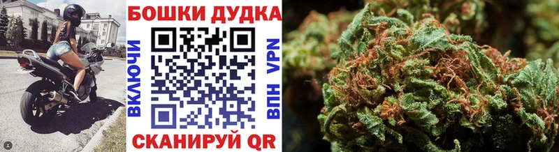 Виды наркотиков купить Краснозаводск Каннабис